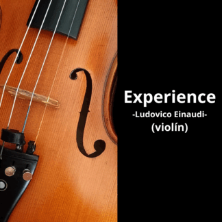 EXPERIENCE-VIOLIN